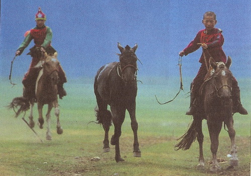 Монгольский пони